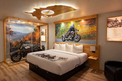 Indian FTR RSD Hooligan | Desk, free WiFi