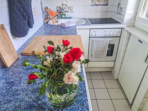 Cut Flowers, Floristry, Flowerpot, Houseplant, Major Appliance, Centrepiece, Floral Design, Kitchen