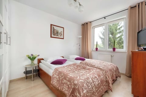 A cozy bedroom with twin beds, a nightstand, and a decorative plant by the window.