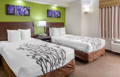 Unwind on plush double beds in a bright, calm room.