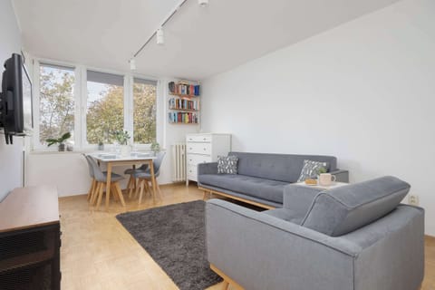 The stylish bedroom includes a comfortable sofa bed and a television.