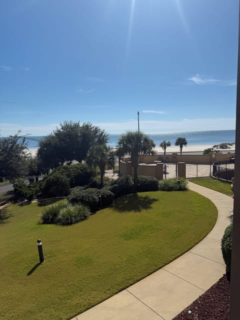 View from Balcony 