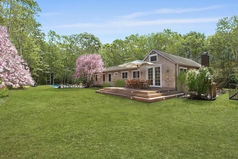 Outdoor - Backyard and pool area