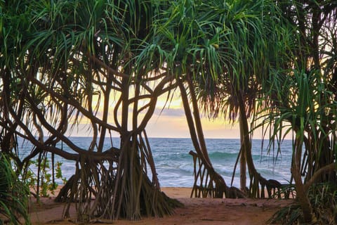 Beach/ocean view