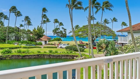 View from upstairs lanai