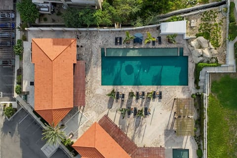 Aerial view of the expansive pool area and lush surroundings.