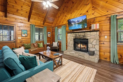 Wood Burning Fire place