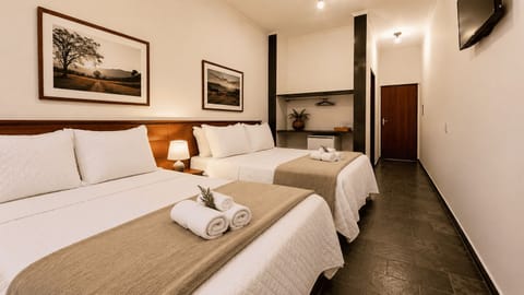 Classic Apartment | WiFi (free)