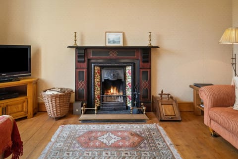 Traditional open fire place with a basket of logs and coal skuttle