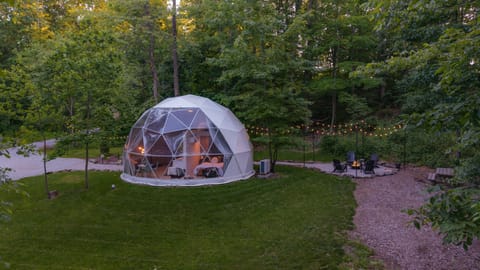Welcome to Sycamore Dome!
