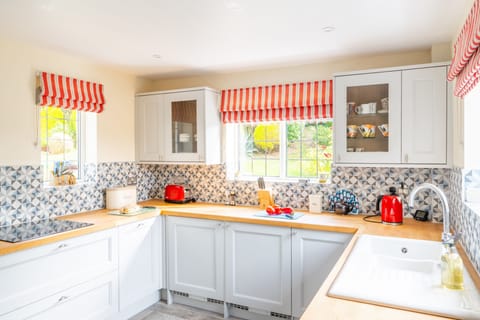 Ground floor: Kitchen with an electric oven and induction hob, microwave, dishwasher, fridge-freezer and washing machine