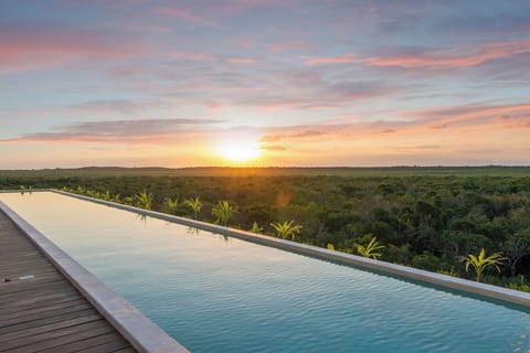 Rooftop Swimming Pool with Jungle View