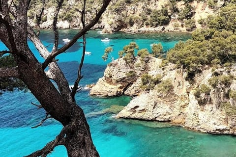 snorkeling, scuba diving, fishing, canoeing, sailing, boating, surfing, biking, 