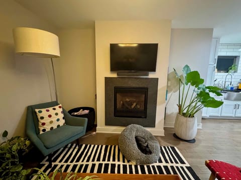 Living Room TV and Fireplace