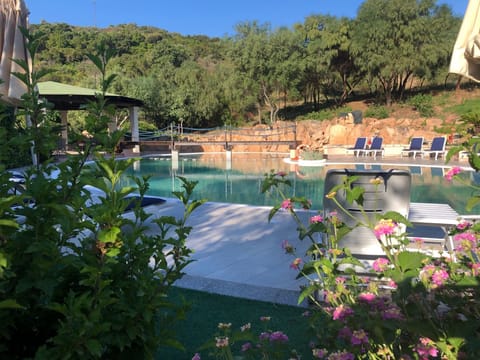 Outdoor pool, pool umbrellas, sun loungers