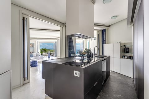 Penthouse, Sea View | Private kitchen | Full-size fridge, microwave, oven, stovetop