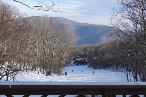 View of Lower Tyro ski run from the deck.