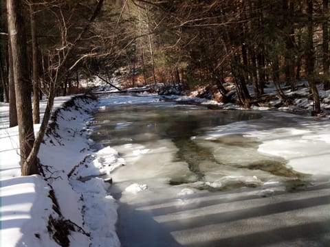 Winter Creek