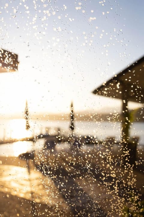 Walls of Glass outdoor shower with view