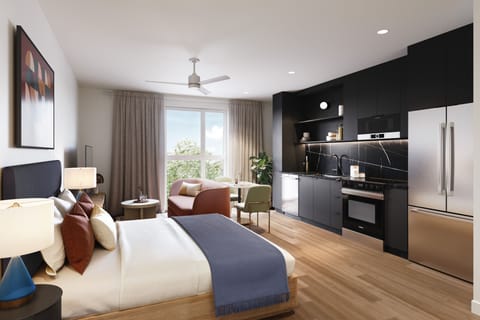 Deluxe king bed studio