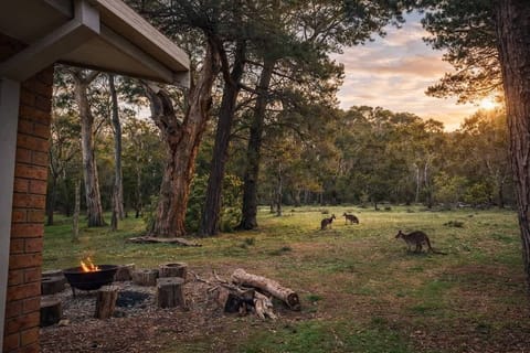 Step out the patio doors and literally into the Grampians National Park