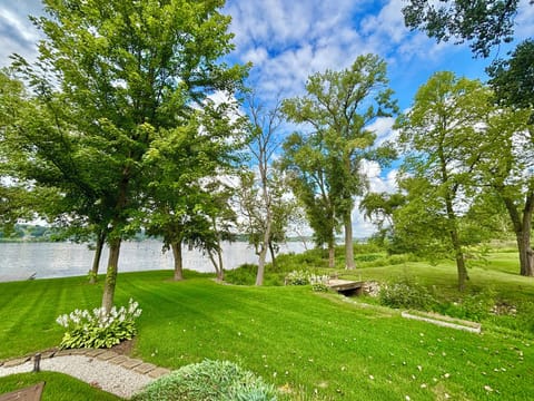 Beautiful wildlife and naturescape