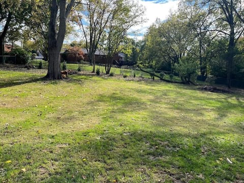 Large fenced back yard 