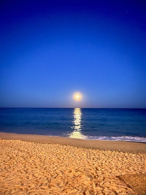 Apartment | Beach