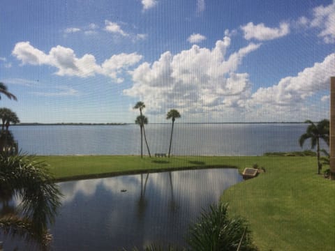 Your View From All Rooms & The Balcony