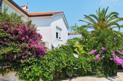 Family house with two separate apartments-Antares Comfort and Antares Superior.
