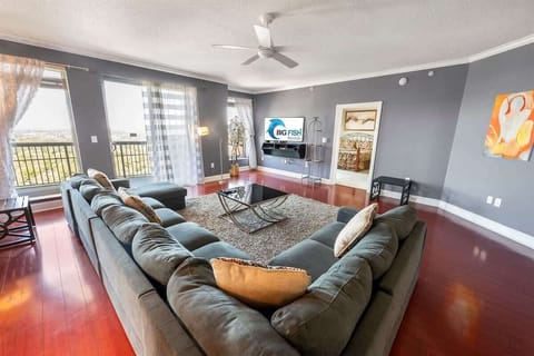 Amazing Living Room