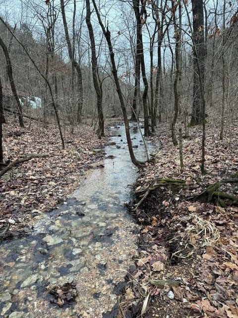 Over 160 acres with trails thought to explore.