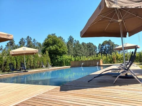 Seasonal outdoor pool, pool umbrellas, sun loungers