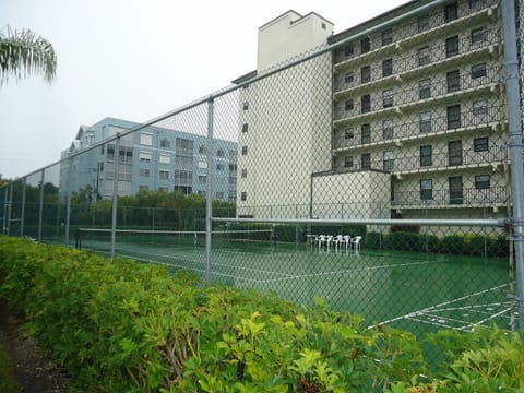Estero Cove Gulf View 2/2 Condo Apartment in Estero Island
