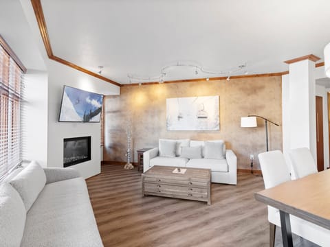 Living Area / Sofa Sleeper