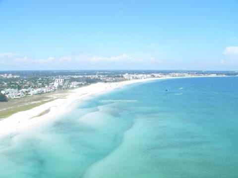 Siesta Key Beech 