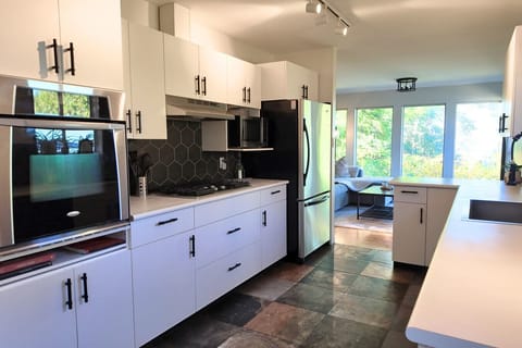 Gas stove top and stainless steel appliances