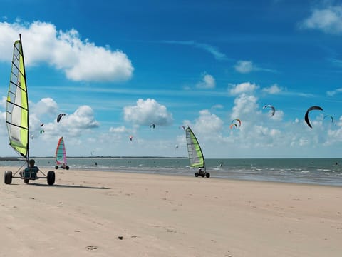 Sky, Blue, Cloud, Beach, Sea, Coastal And Oceanic Landforms, Coast, Shore, Ocean