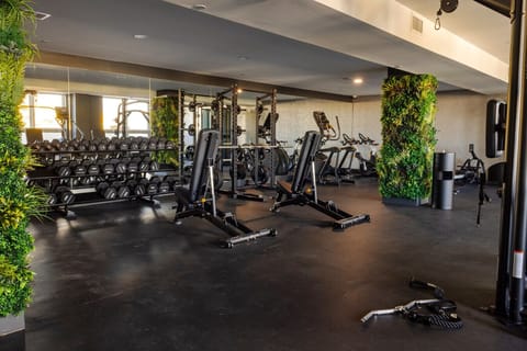 Gym with dumbbells, benches, treadmill, bikes, squat rack