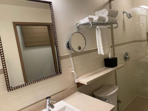 Deluxe Single Room, 1 King Bed | Bathroom | Shower, hair dryer, towels