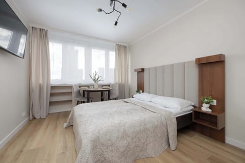 Bright and cozy studio space with a bed, wardrobe, and large window letting in natural light.