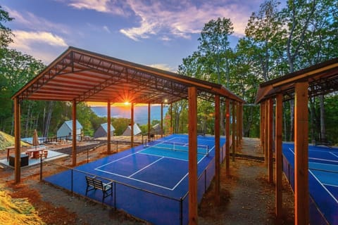 Pickleball Courts View