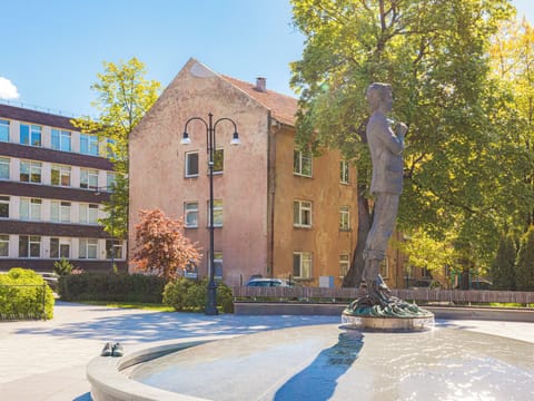 House exterior view from Vydunas square