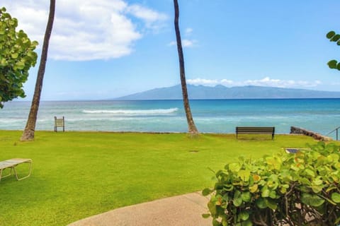 Ocean Views