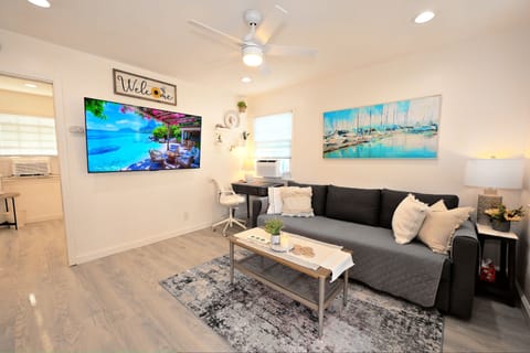 Updated Living Room With Sleeper Sofa