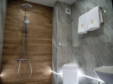 Shower, hair dryer, bathrobes, slippers