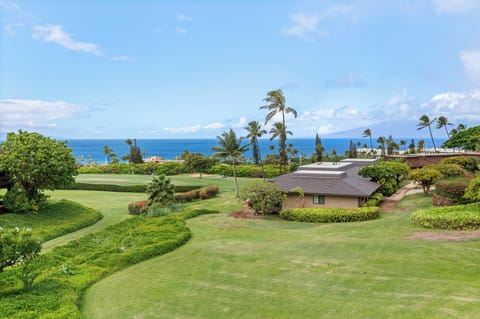 KaanapaliPlantation28-34