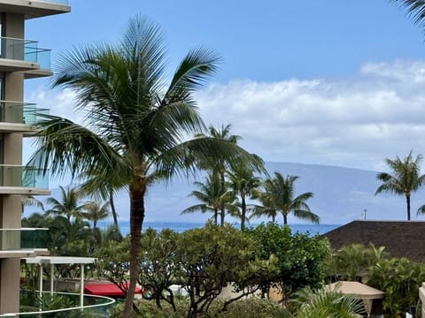 Views if the ocean and out islands from your lanai
