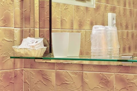 Basic Room | Bathroom | Shower, toilet paper