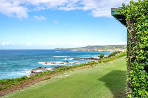 Ocean breeze, rugged cliffs, and total serenity at your doorstep     KBV-28G2